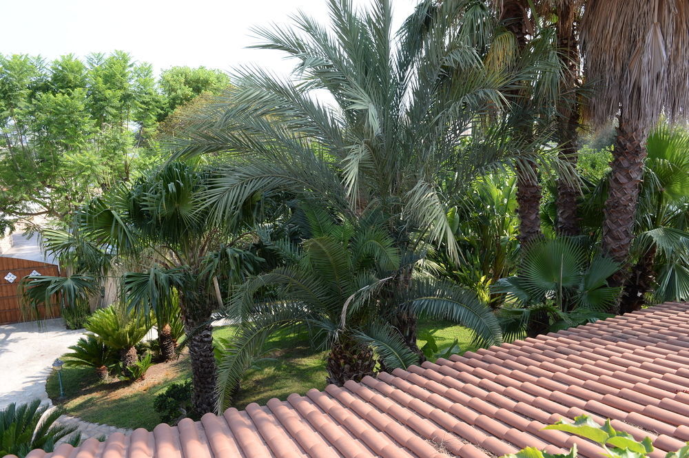 Il Giardino Delle Jacaranda Talsano Exterior foto